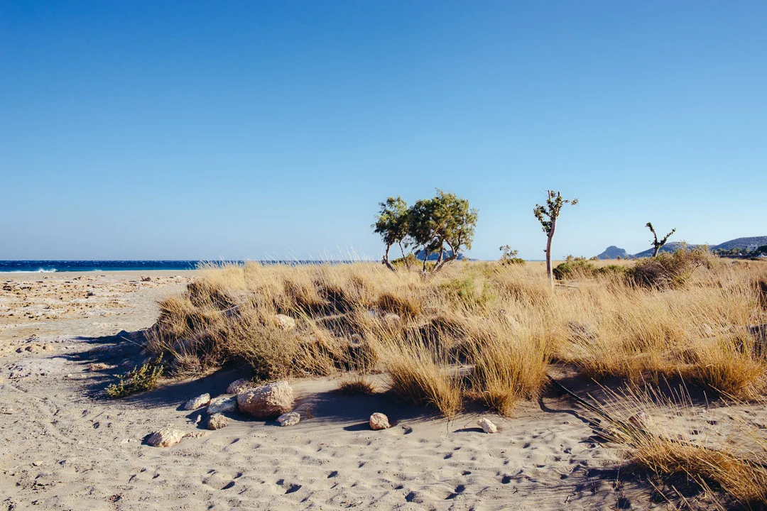 michaliskoulieris-easterncrete-01.jpg