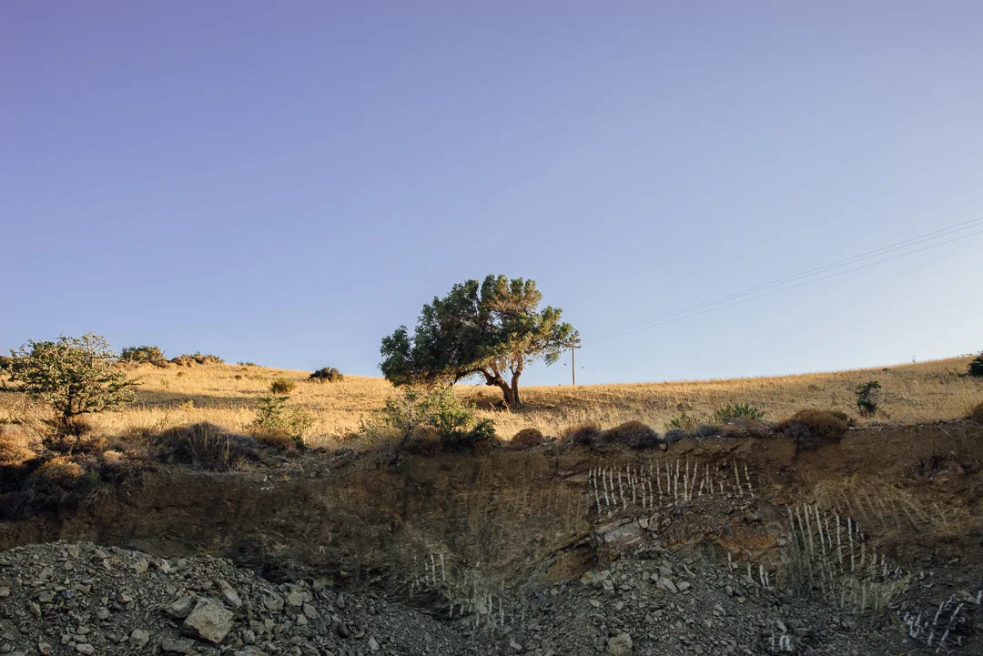 michaliskoulieris-easterncrete-04.jpg
