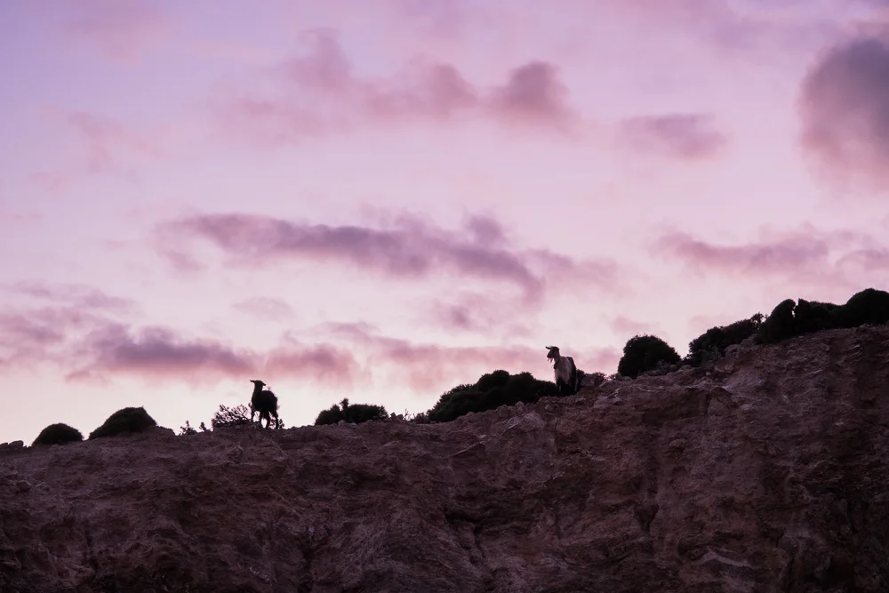 michaliskoulieris-crete-01449.jpg