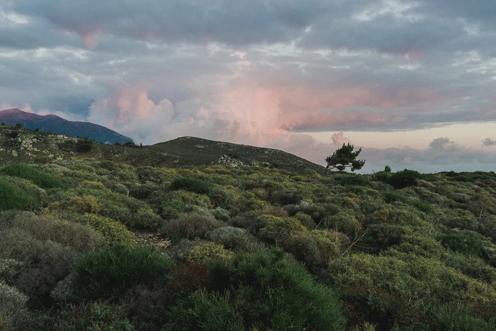 michaliskoulieris-crete-01304.jpg