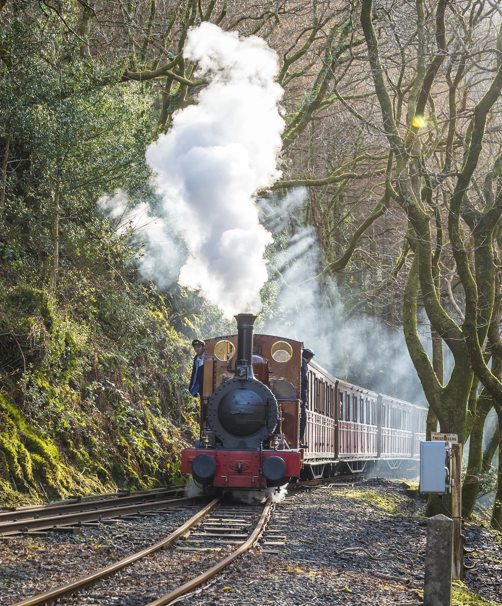 Talyllyn Railway (Copy)