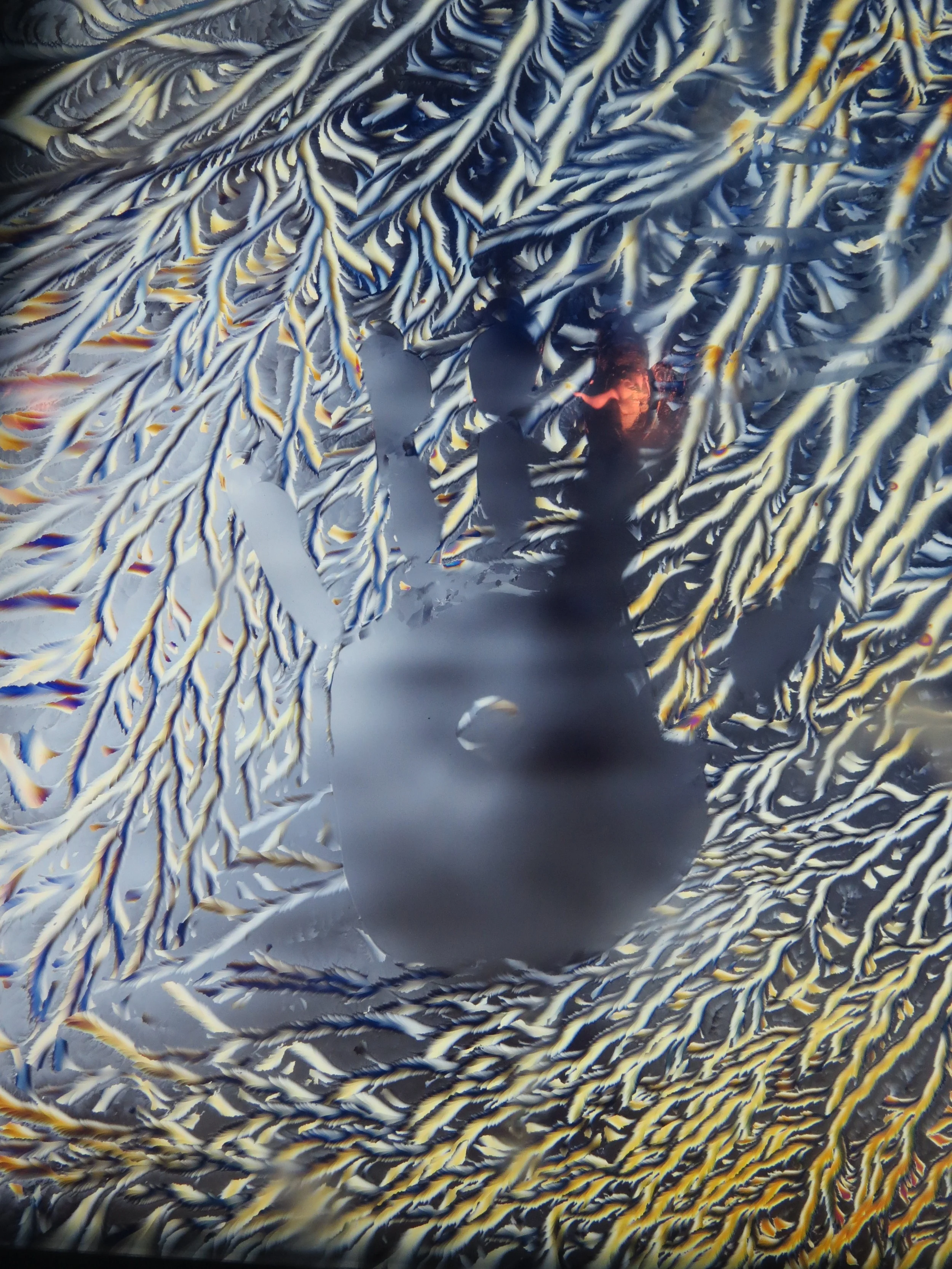 Mount Shasta: Summer 2019 Learning Exchange