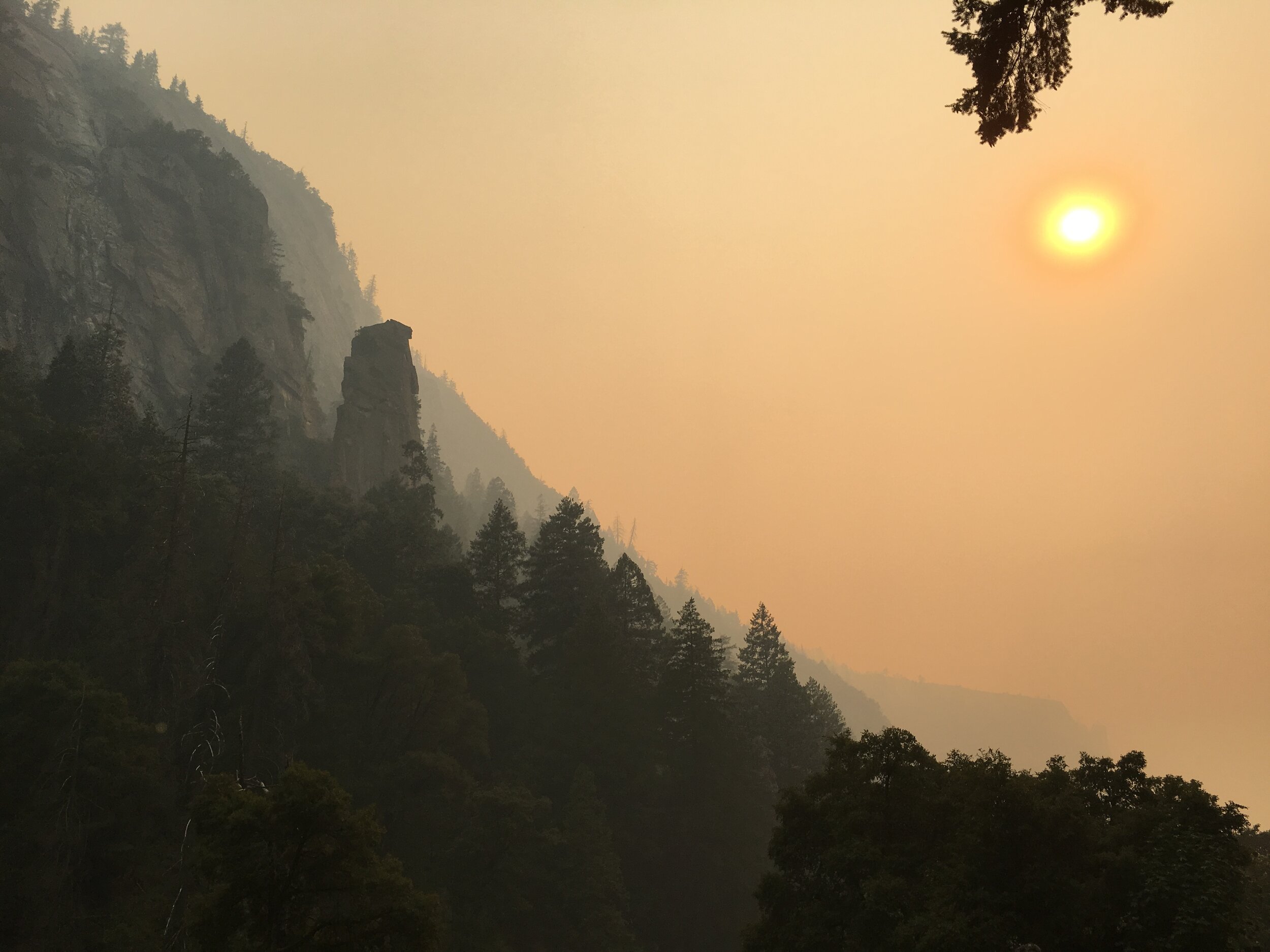 The Fourth World Journal: Issue 1