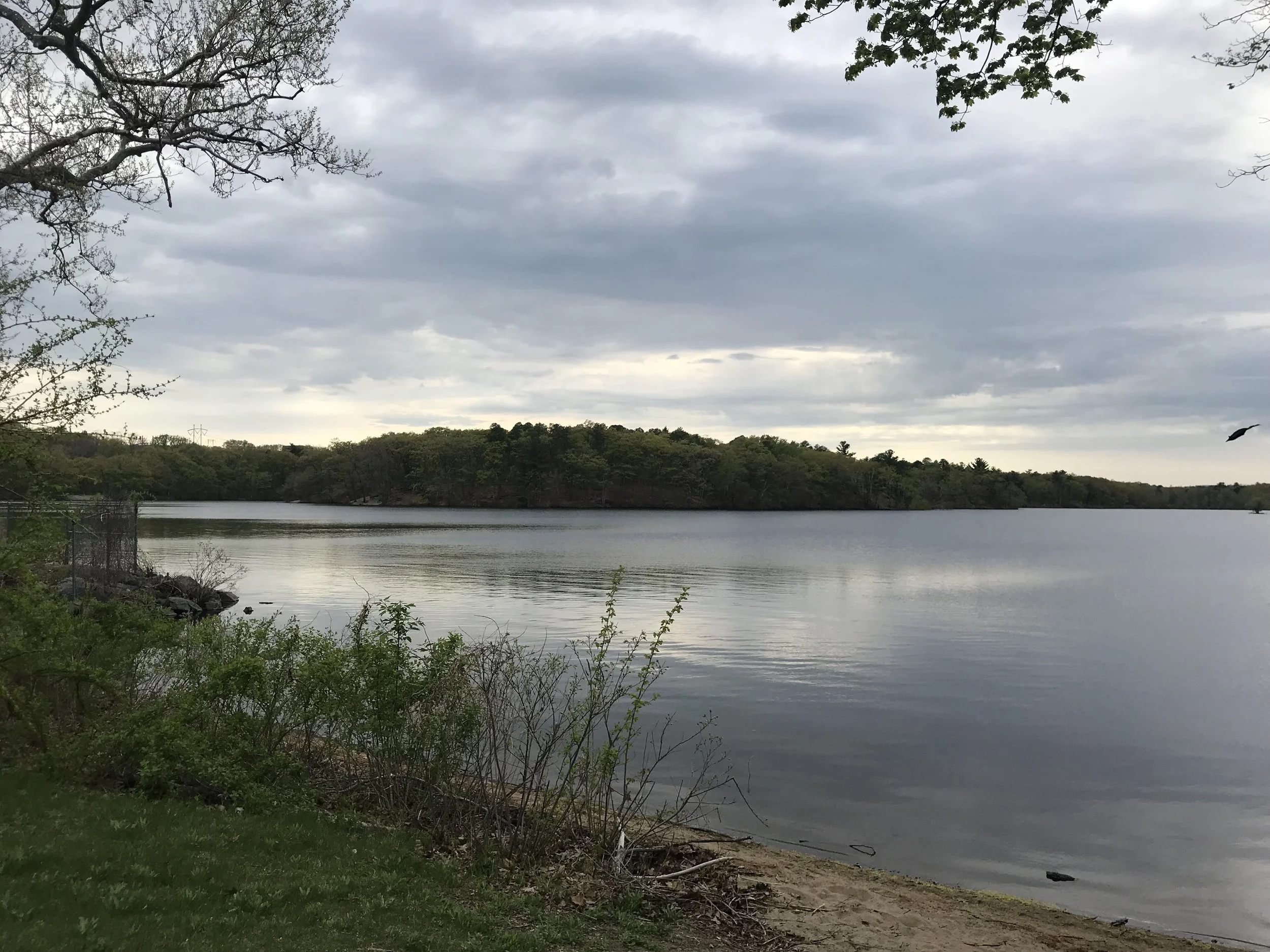 Video vs. in-person counts 2018