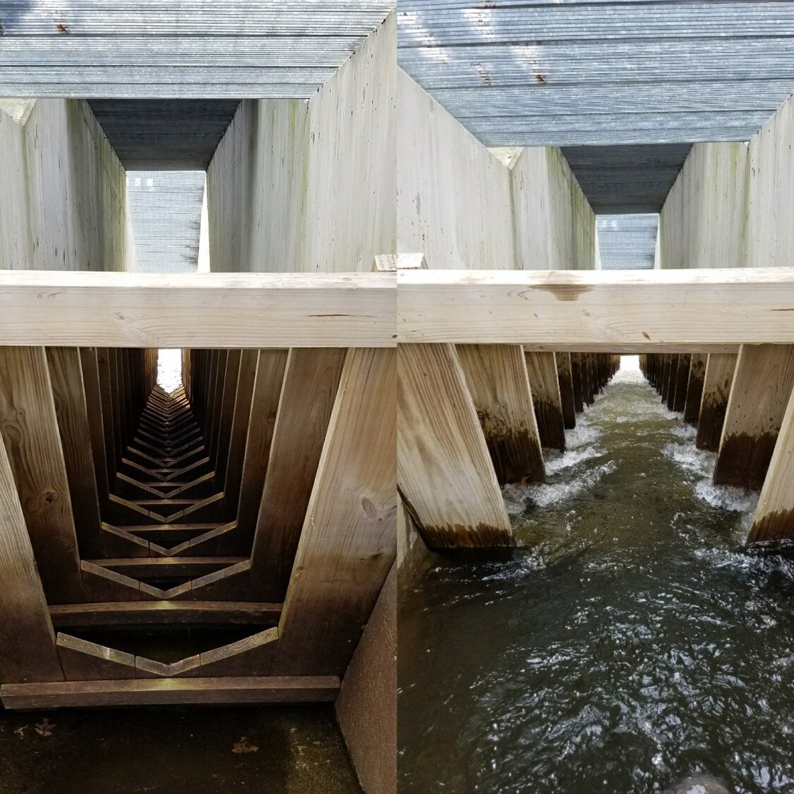 Fish ladder at Mystic Lakes. PC: David. Mussina