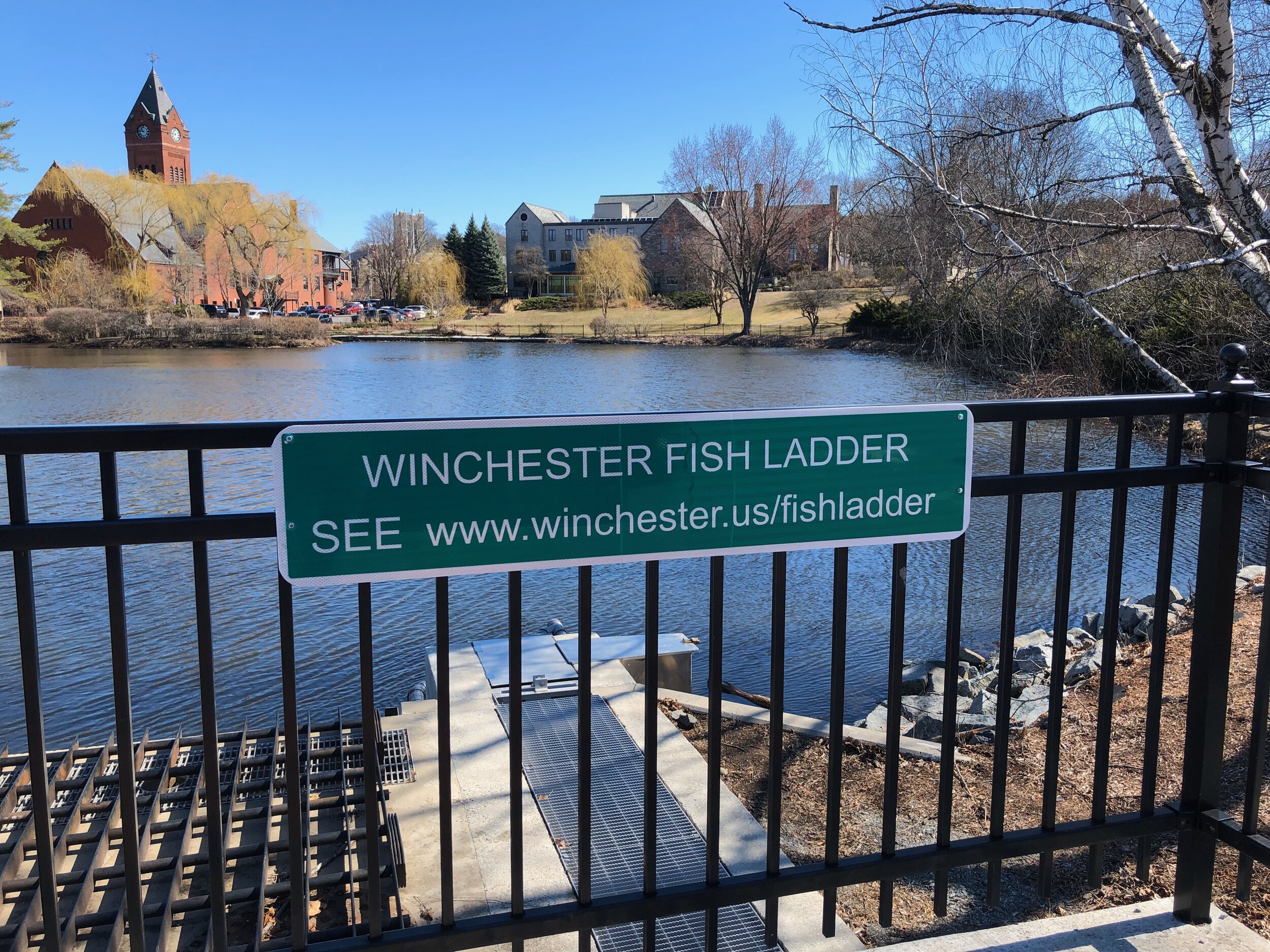 Fish ladder in Center Fall Dam. PC: John Kilborn