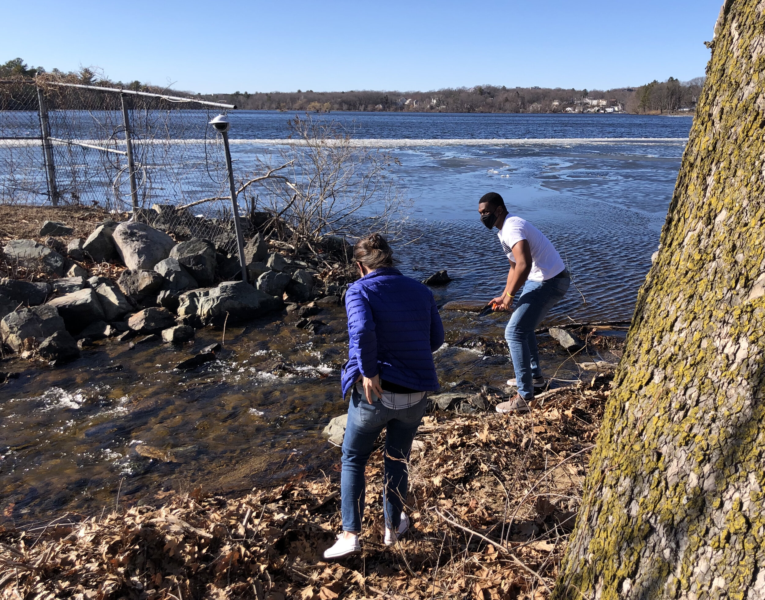 MyWRA staff Erica and Elo testing the site where river herring will be counted as they enter Horn Pond