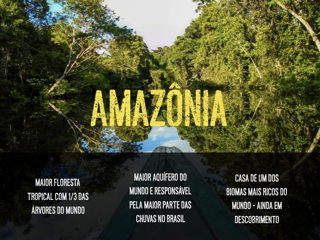 cópia de [sem vídeo] Da água ao ar.004.jpeg
