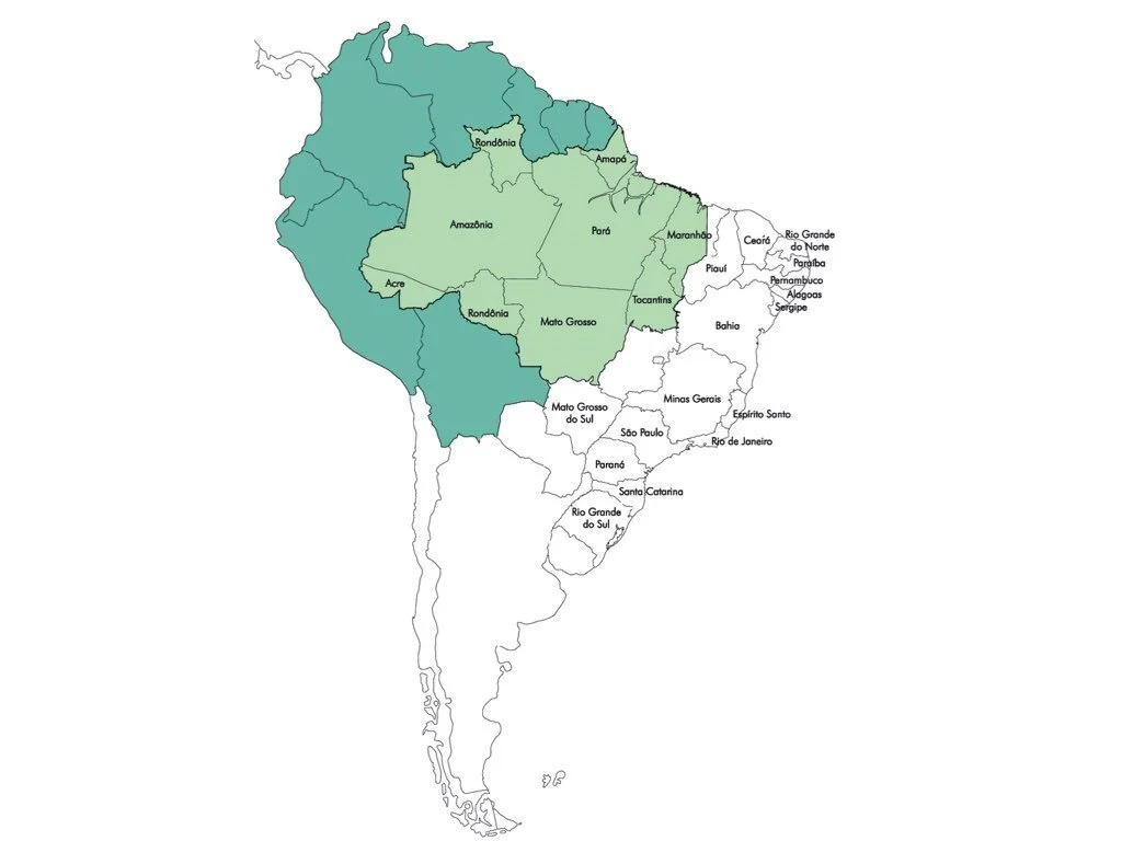 cópia de [sem vídeo] Da água ao ar.007.jpeg