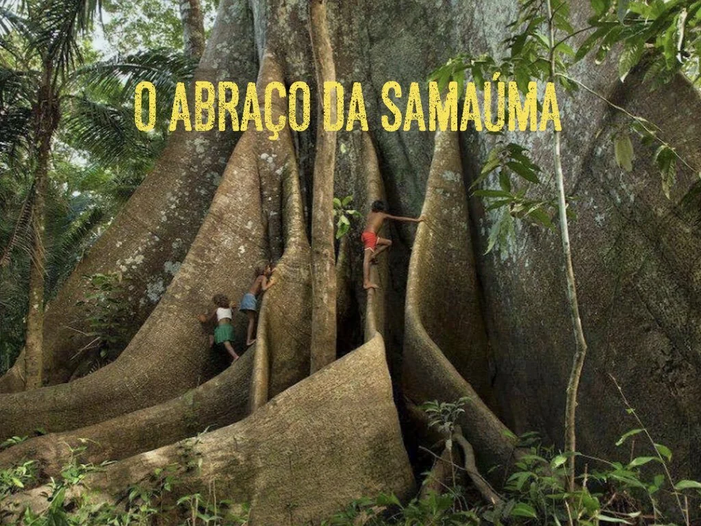 cópia de [sem vídeo] Da água ao ar.026.jpeg