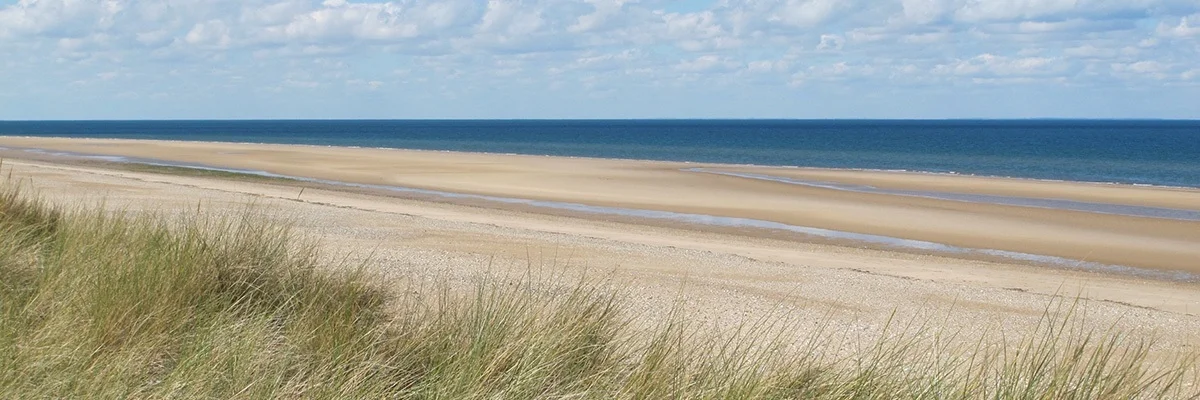 beach%2Bat%2Bbrancaster.jpg