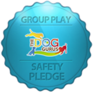 Group Play Safety Pledge Dog Gurus.png