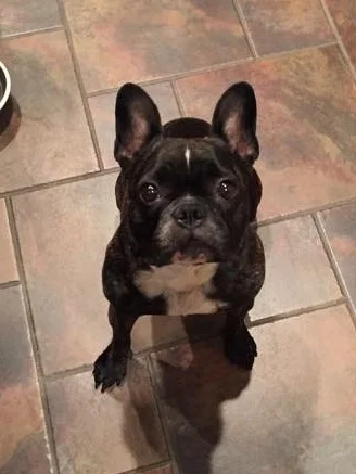 lucy.jpg
