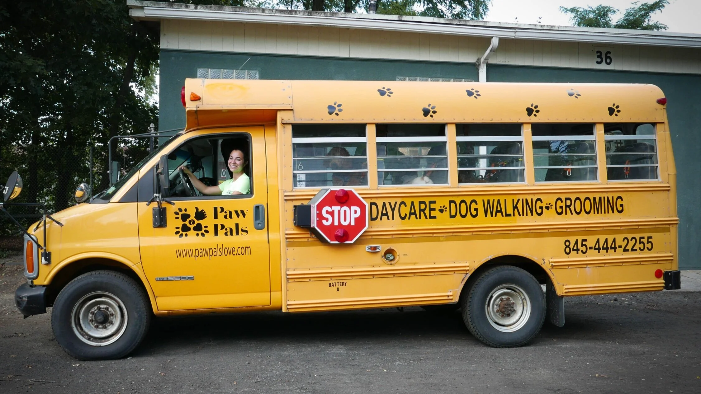 pet taxi transport
