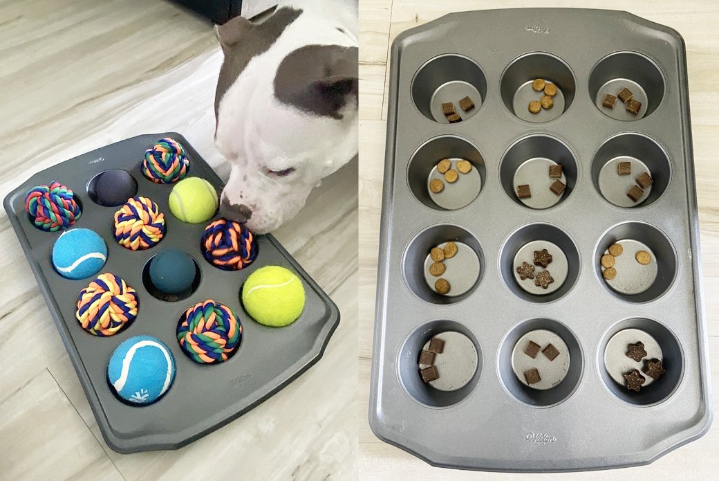 dog_diy_enrichment_ideas_muffin-tin-puzzle.jpeg