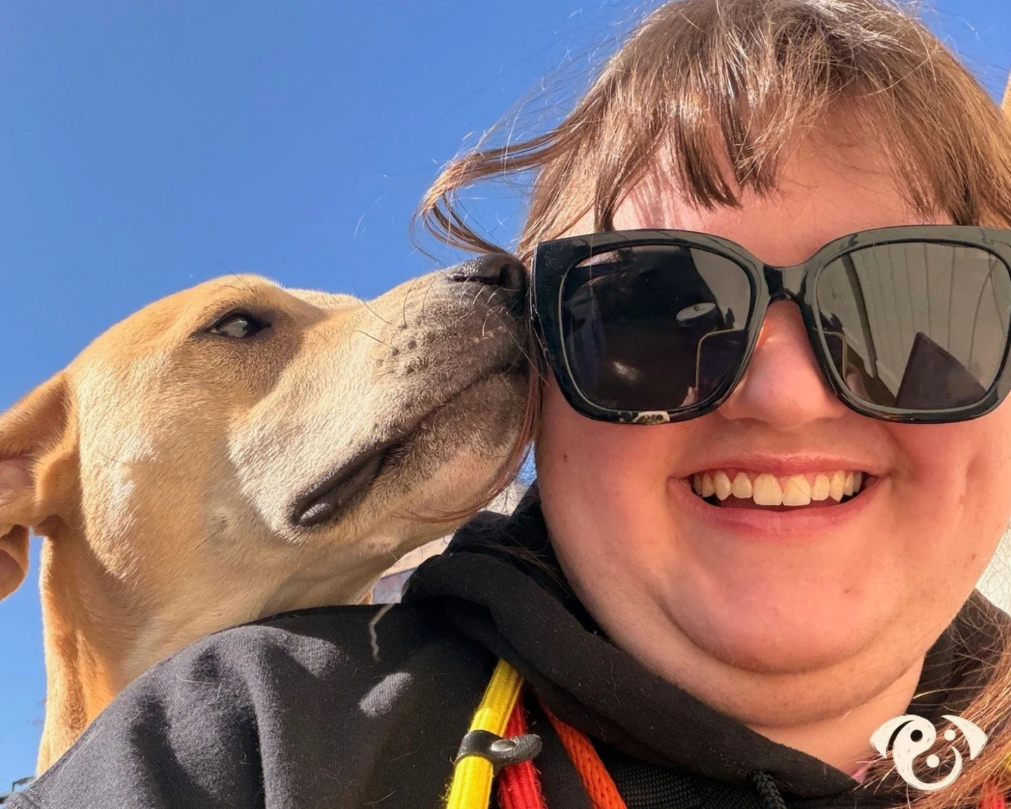 This is the Paw Pals difference 🩷🐾 is your pet part of the Paw Pals Pack yet? Schedule your FREE meet 'n greet &amp; bring your pet to play with their new best friends! #pawpals #pawpalslove #pawpalspack #unleashyourbestfriend #petsitting #petdayca