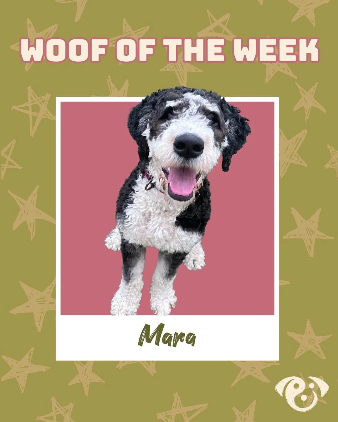 Meet our Woof of the Week, our girl Mara 🐾✨ Mara is a pup who always walks in with confidence, ready to play, bring the fun, and make every day a little brighter. She knows exactly what she wants and isn&rsquo;t shy about showing her big personality