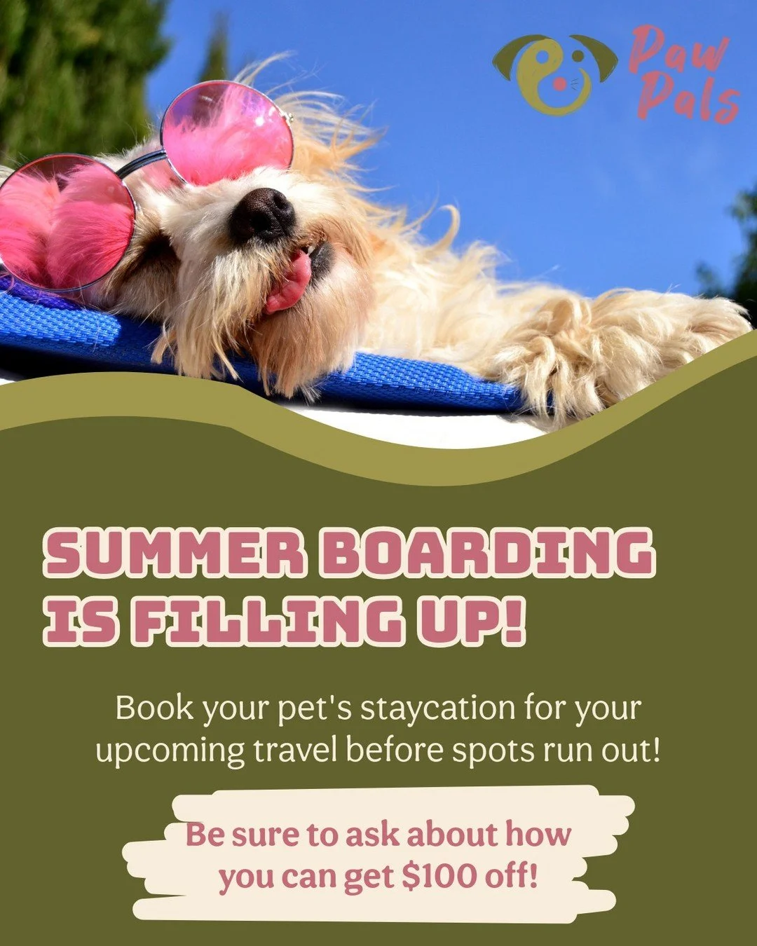 ☀️ Paw Pals summer boarding is filling up quickly&mdash;especially for holiday weekends! If you&rsquo;re planning travel, we recommend reserving your pet's spot soon 🐾 Give us a call at (845) 444-2255 to snag your pet's staycation with the Paw Pals 