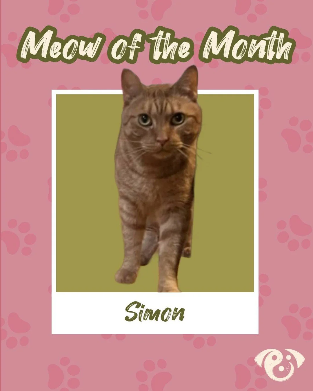 Meow of the Month: Simon 🐱🧡 Simon is the perfect example of that classic friendly, lovable orange cat stereotype, and he absolutely lives up to it! &ldquo;Very friendly and handsome. Loves catnip and getting brushed 🥰&rdquo; What a charmer!
Living