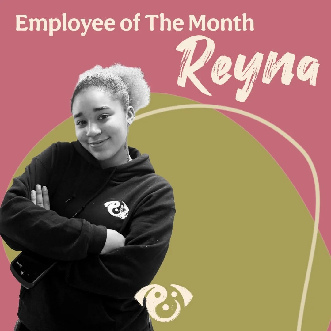 A well-deserved recognition for Pack Leader Reyna as one of our employees of the month! With her radiant smile and unwavering dedication, Reyna makes a difference in every room she enters, especially for our four-legged companions. She's a treasured 