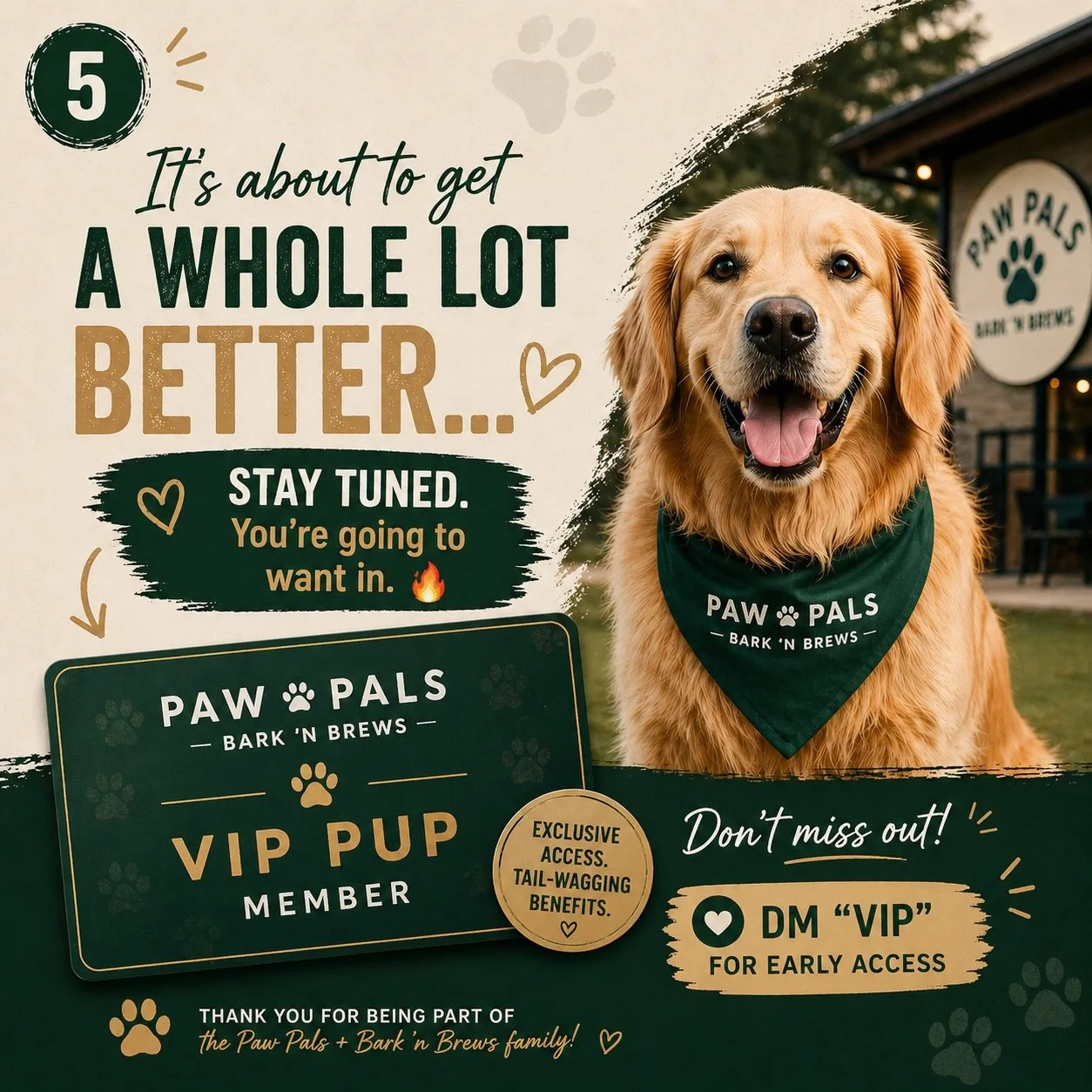 Something BIG is coming to Paw Pals + Bark &rsquo;n Brews&hellip; 👀🐾

More perks. More community. More tail wags.
Our new VIP Pup Membership is almost here &mdash; and trust us, you&rsquo;re going to want in. 🐶✨

Think exclusive access, special me