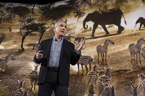 Stephen Wilkes