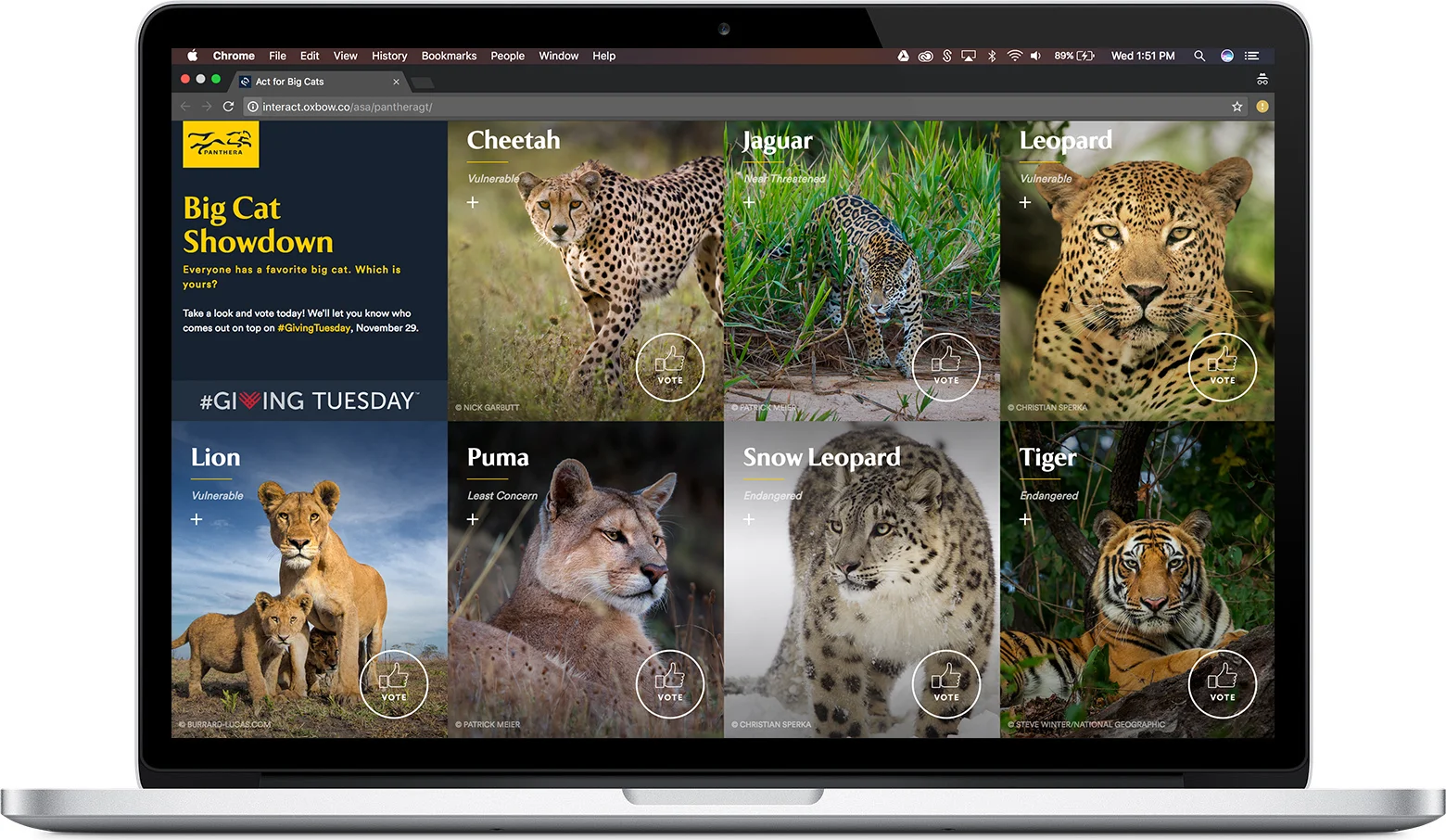 mac-desktop_mockup_01.png