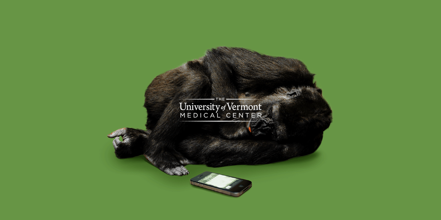 uvm.png