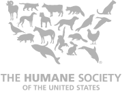 humane copy.png