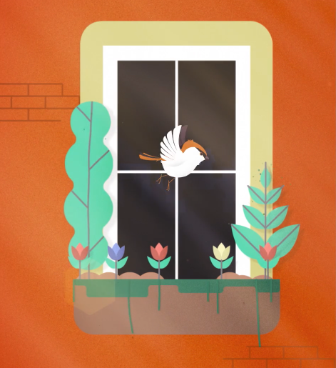 Screen Shot 2017-11-02 at 3.54.14 PM.png