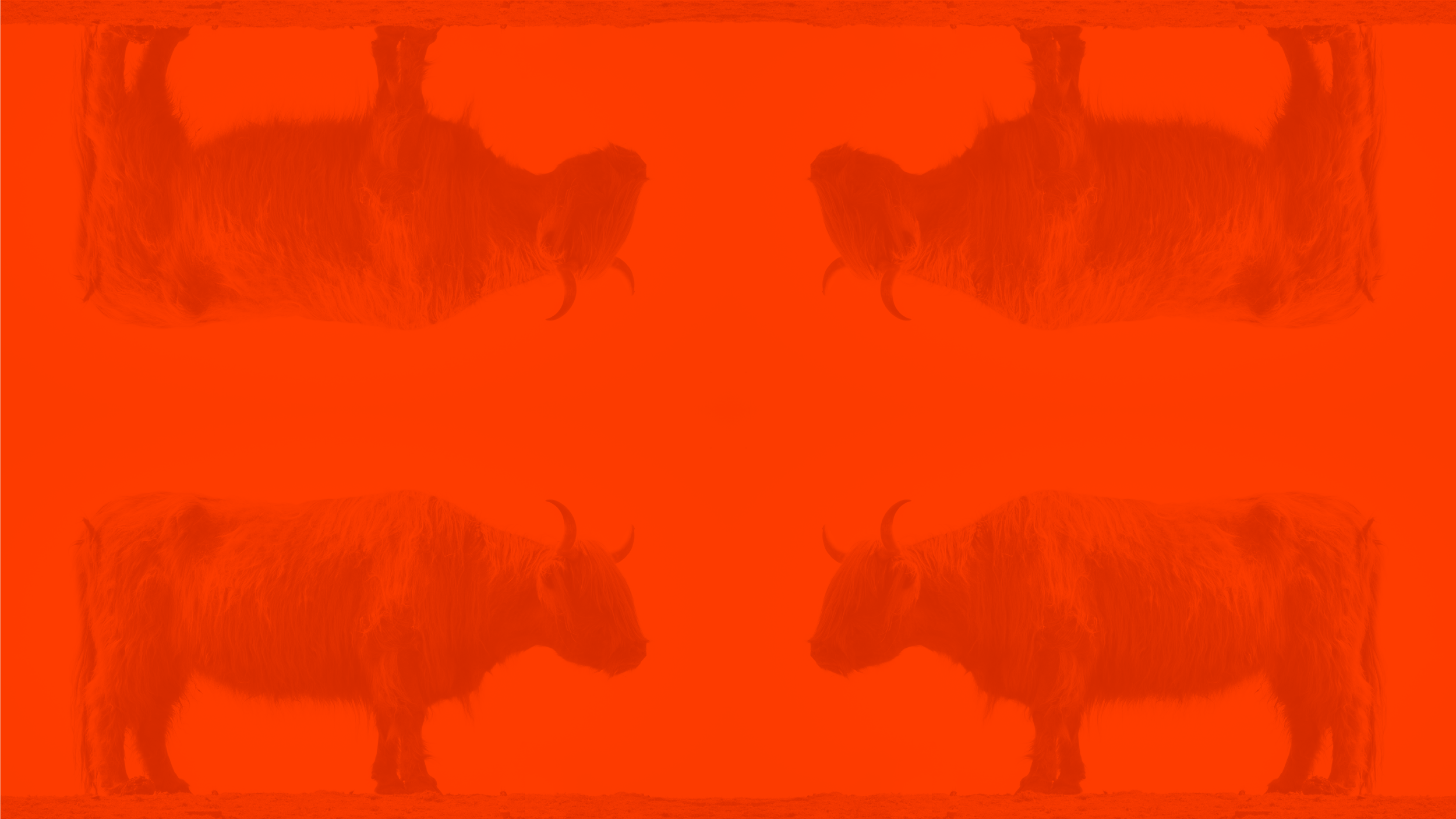 banner.png