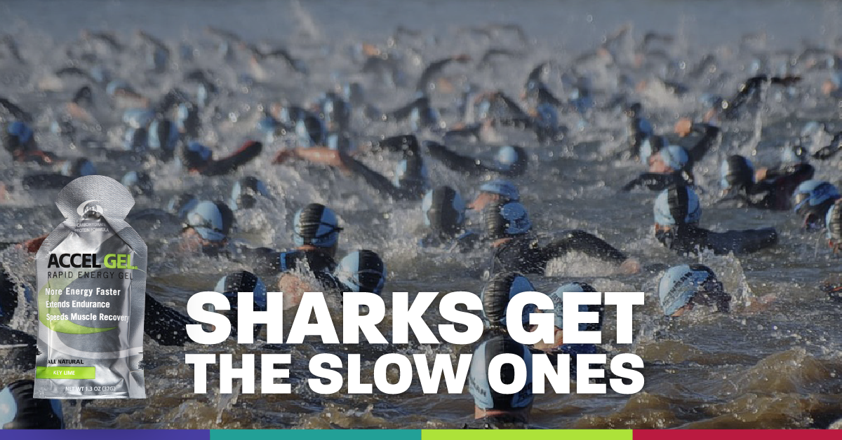 productspecific01_shark2_fb.png