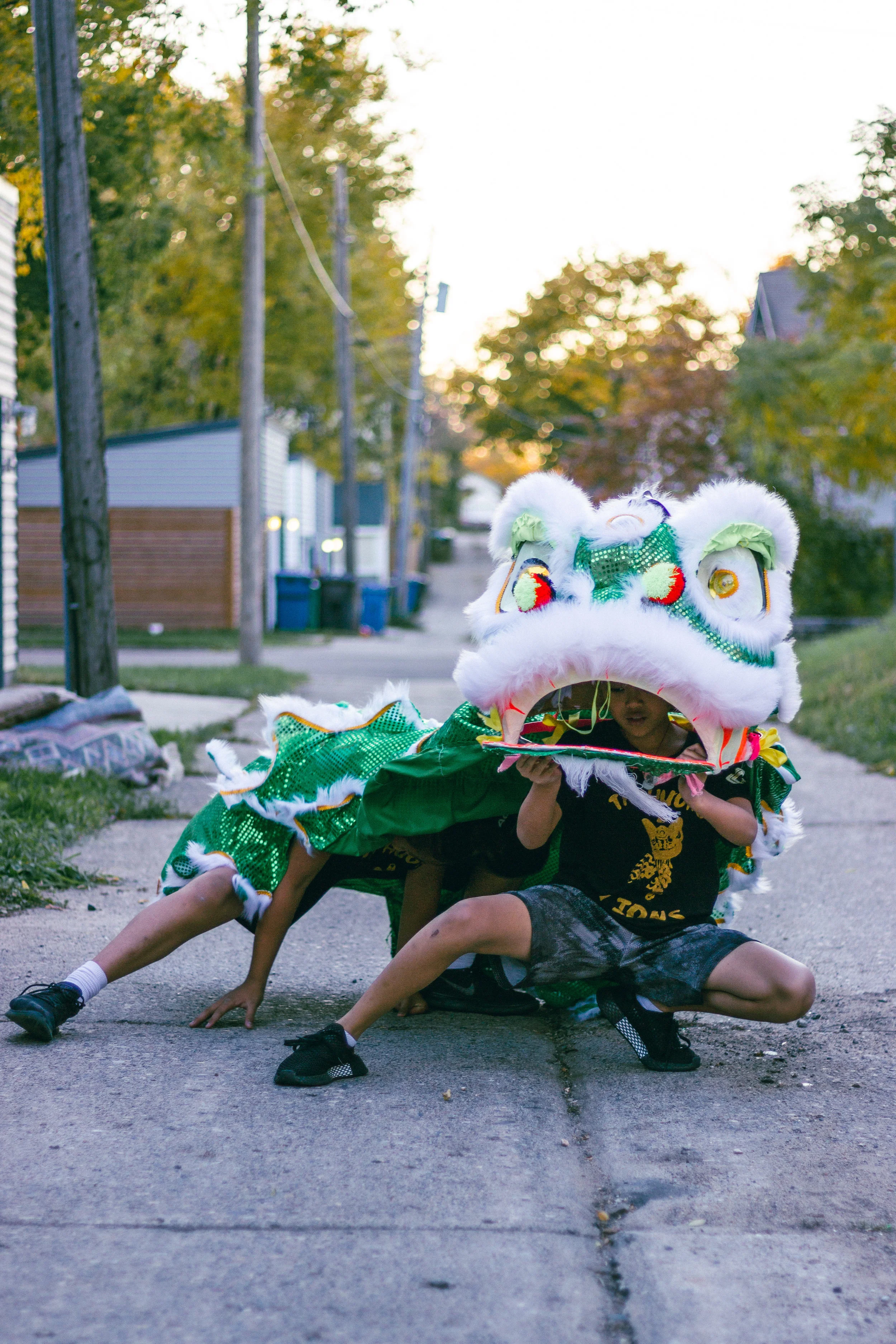 lions5.jpg