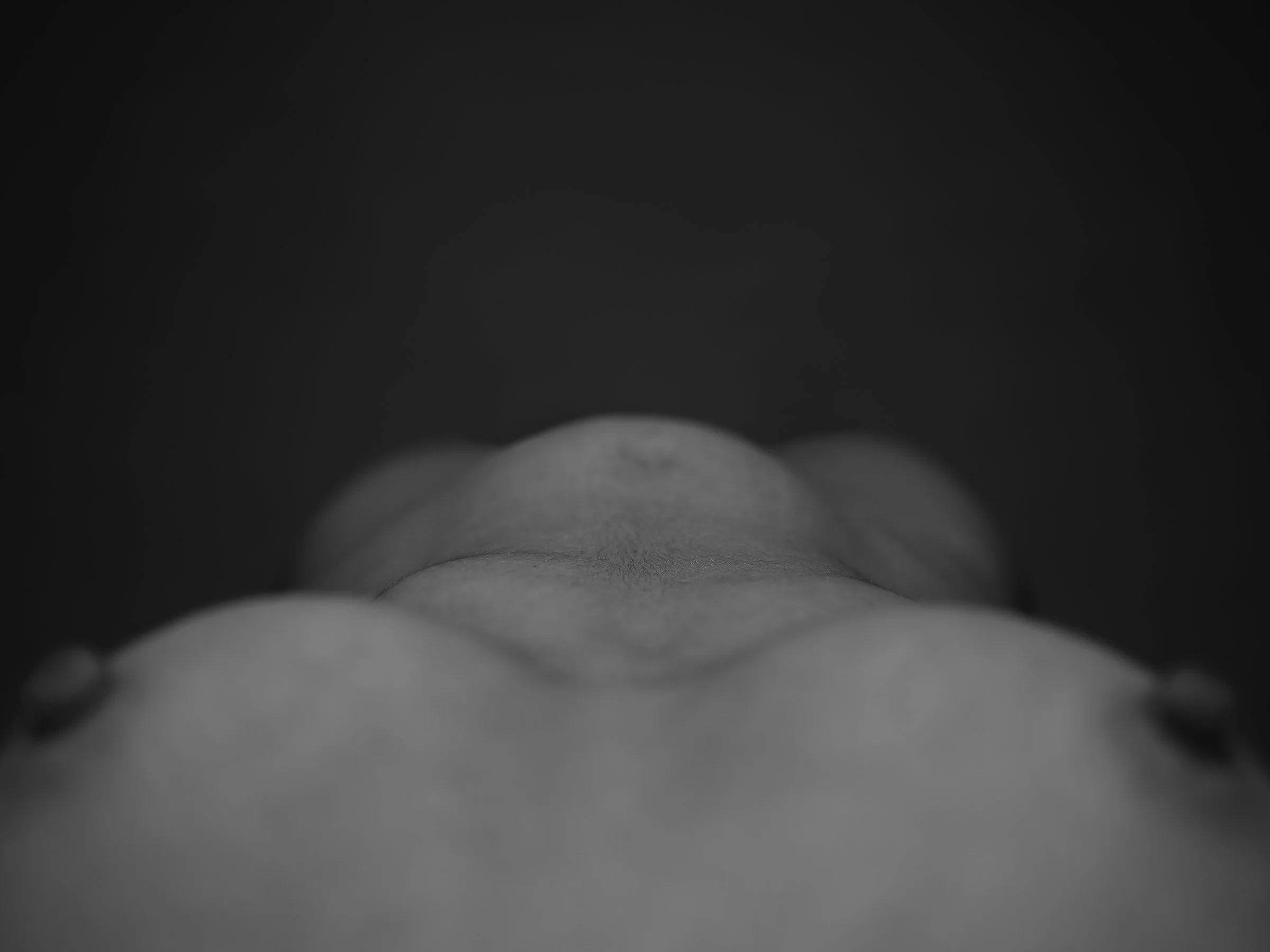 Front_web.jpg