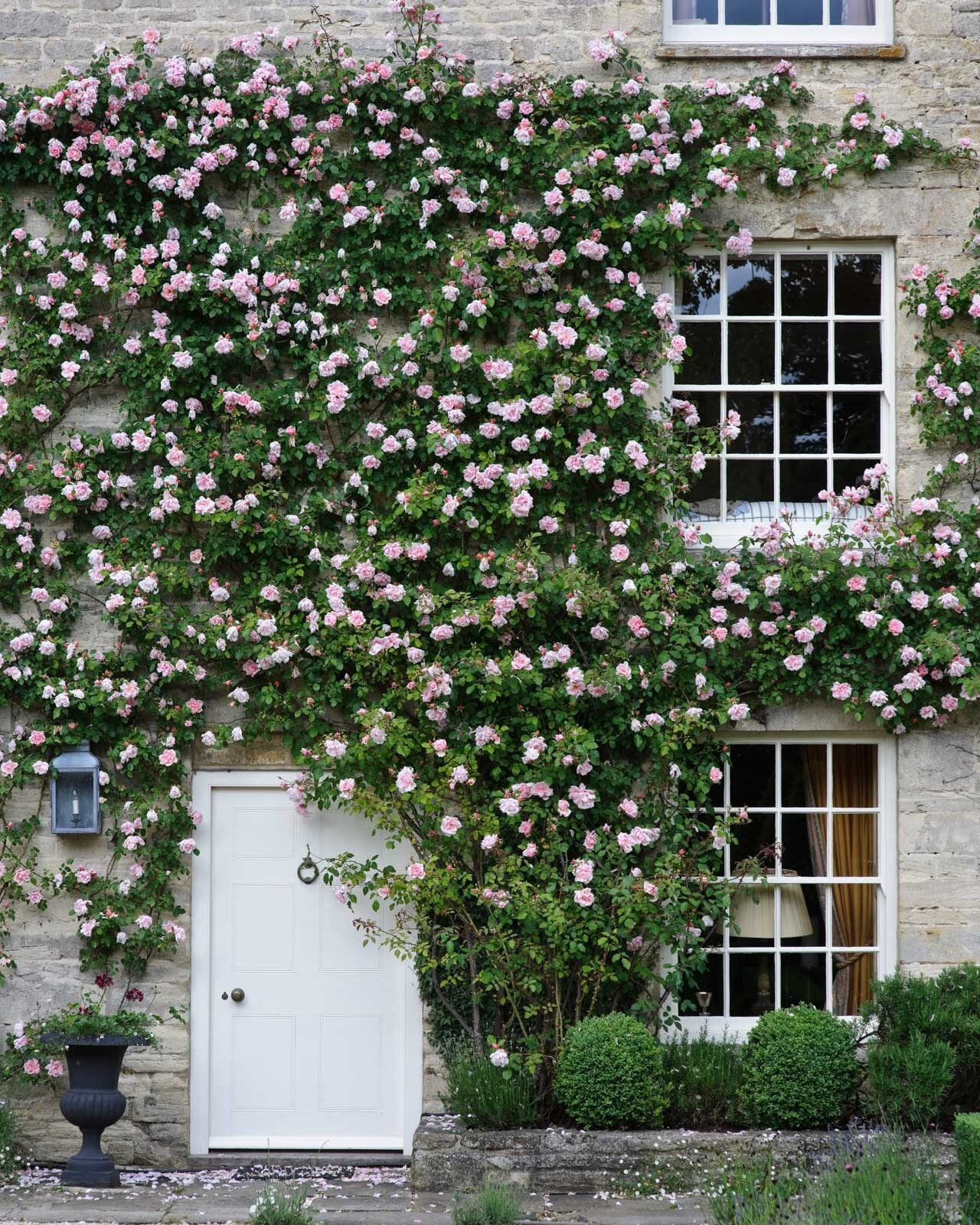 Anyone else starting to get spring fever like me? I want to figure out a way to growing a climbing flower like this on my garage. @clarefostergardens captured the lush greenery and pops of gentle pink so perfectly. I love the contrast between neatly 