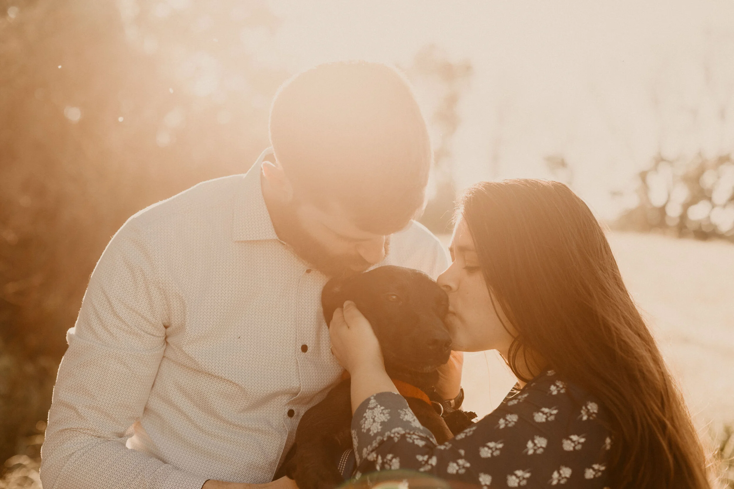 Devil's-Lake-Wisconsin-Engagement-Session-Dog-Engagement-35.jpg