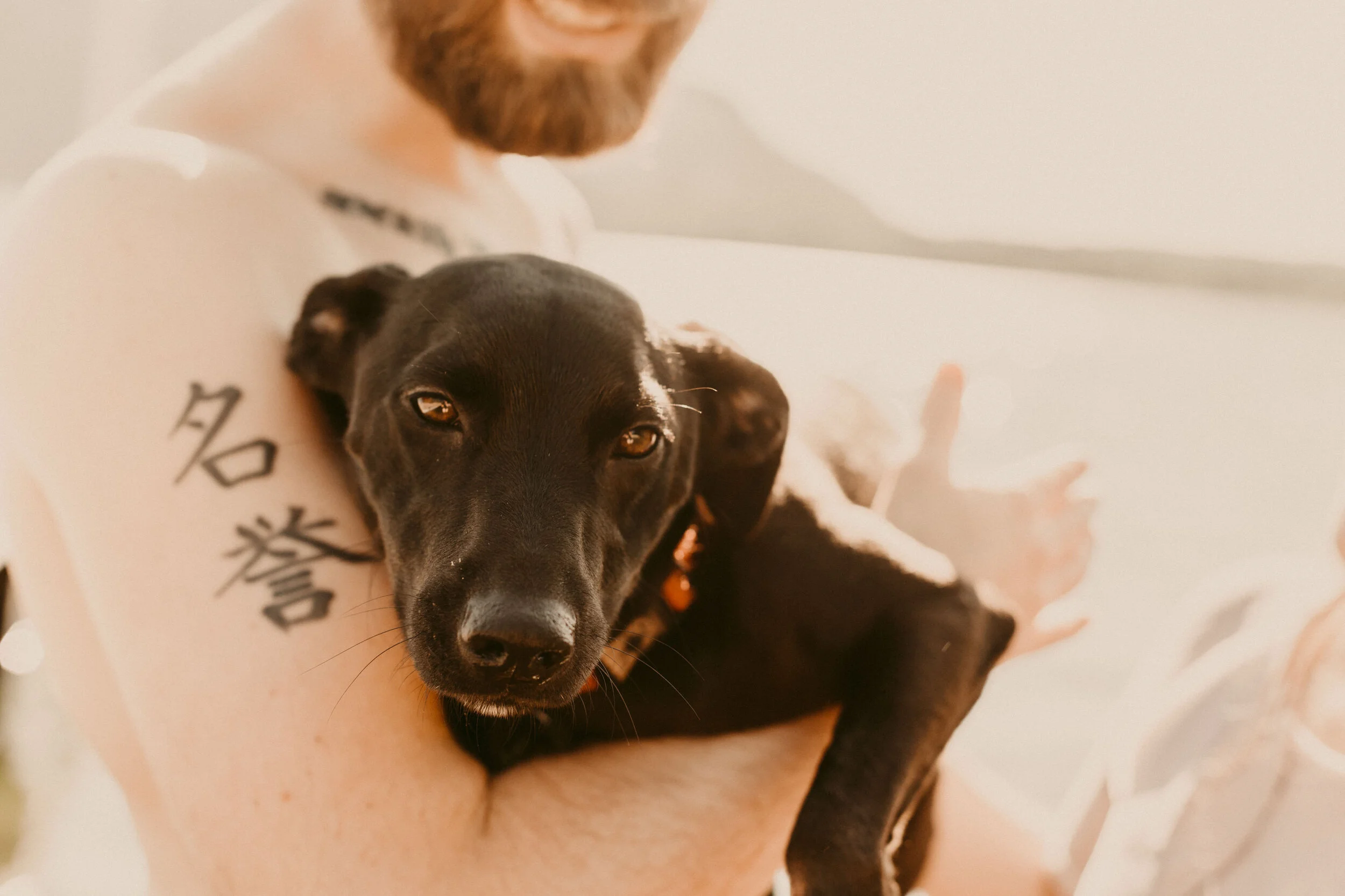Devil's-Lake-Wisconsin-Engagement-Session-Dog-Engagement-52.jpg