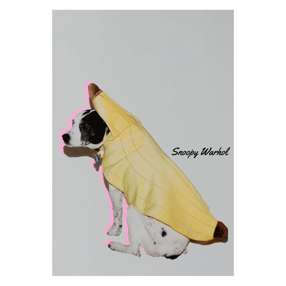 Happy Halloween!
.
.
.
.
.
.
#doghalloweencostumes #andywarhol #doggywarhol #halloween2025