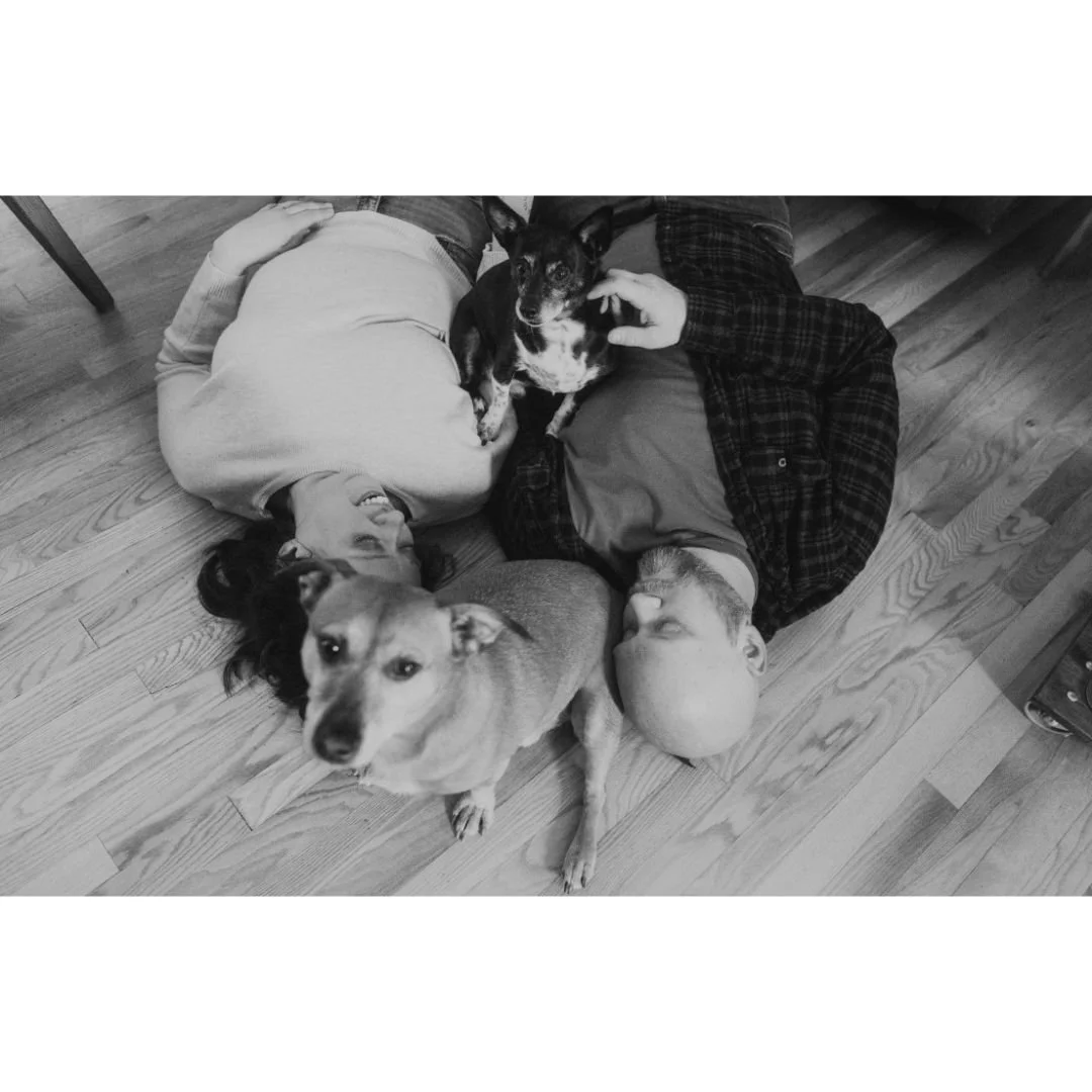 For the love of dogs
.
.
.
.
 #wisconsinphotographer #seniordoglove #greenbayphotographer