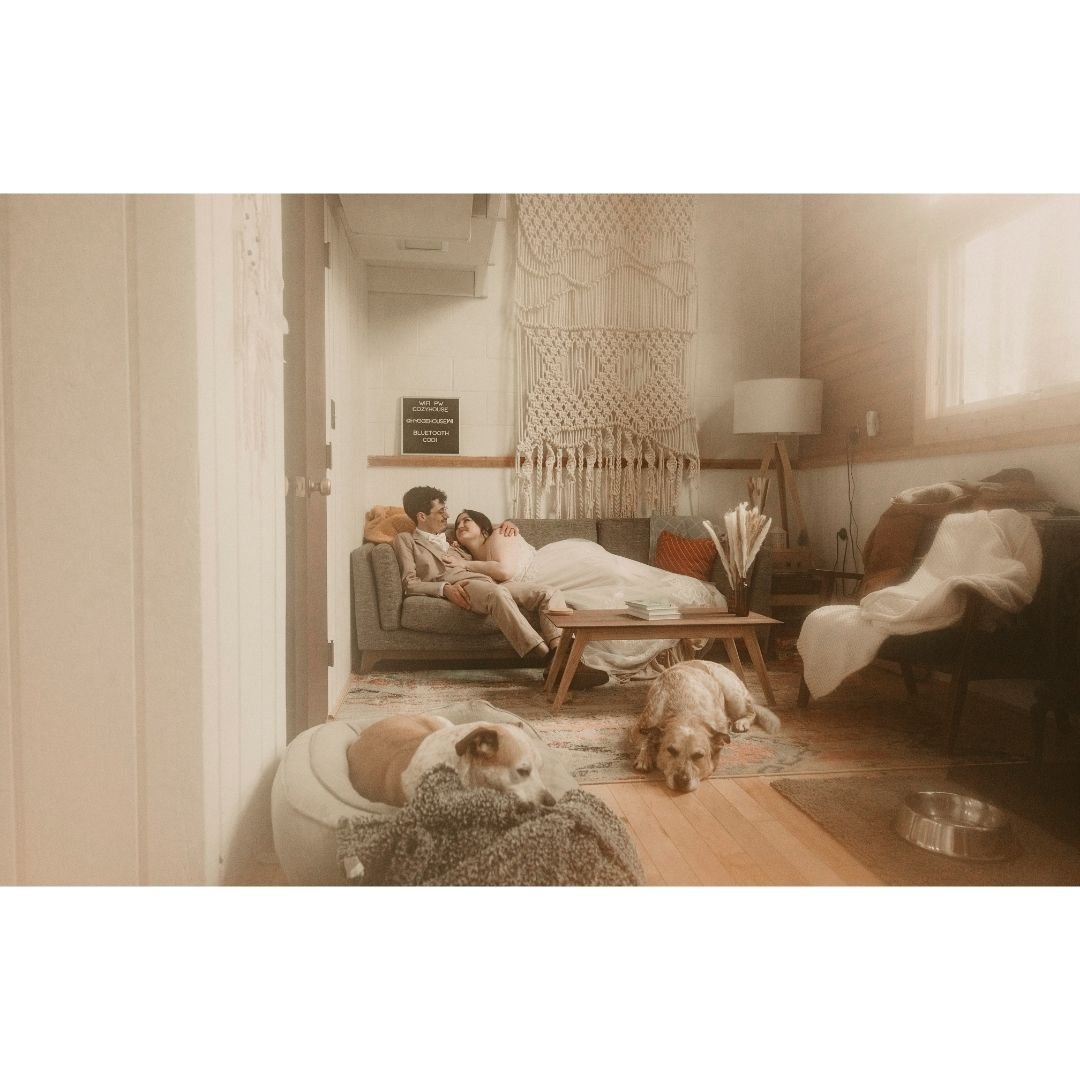 I think my greatest superpower is that dogs instantly trust me. I still think about one review that mentioned that their dogs instantly loved me which was not usual for them.