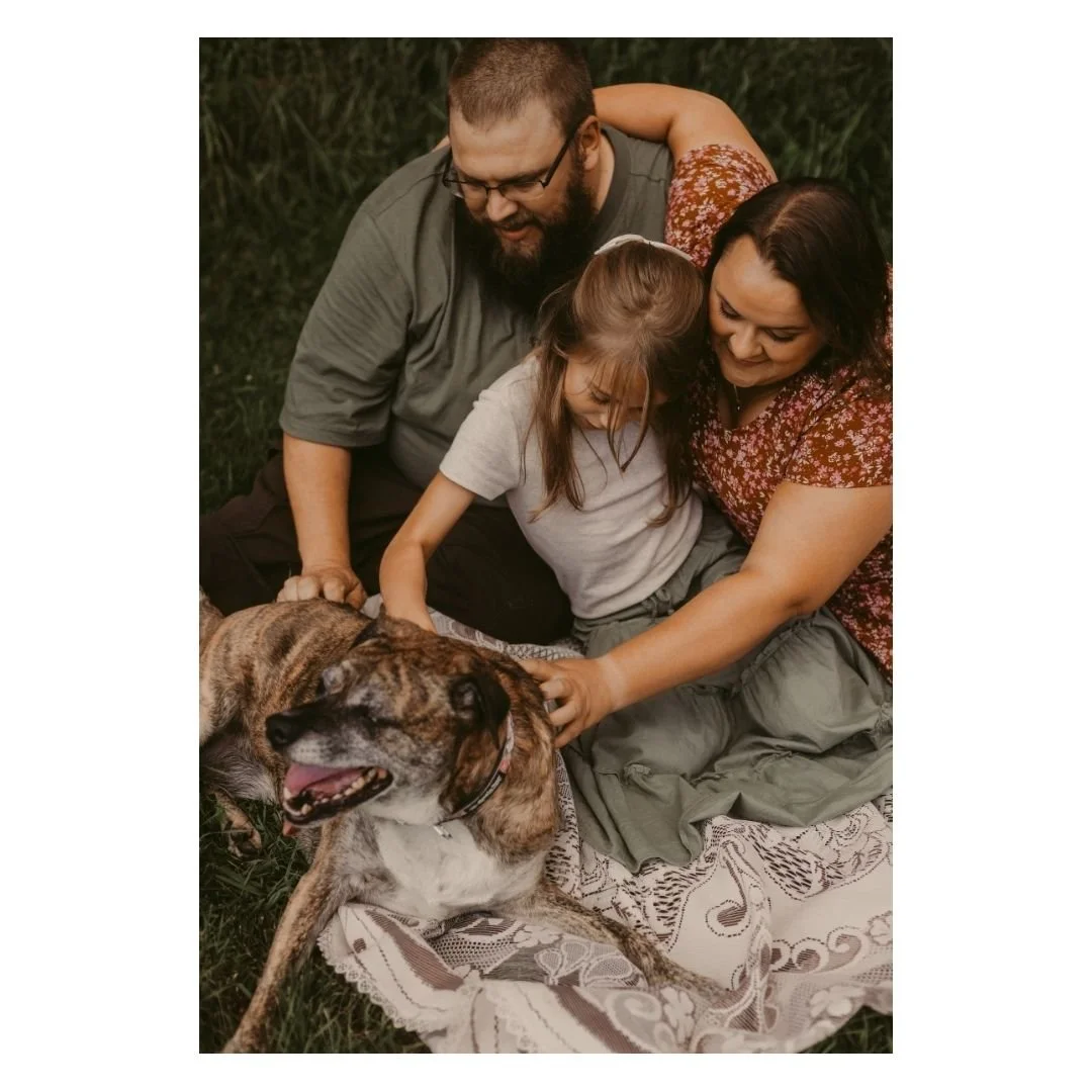 I often get asked, "Can we include our dog as well?" Um, ABSOLUTELY!!
I kind of treat dogs like another small child, they're going to do what they want but that makes the best photos. So, yes please include your dog in your photos, it's wor