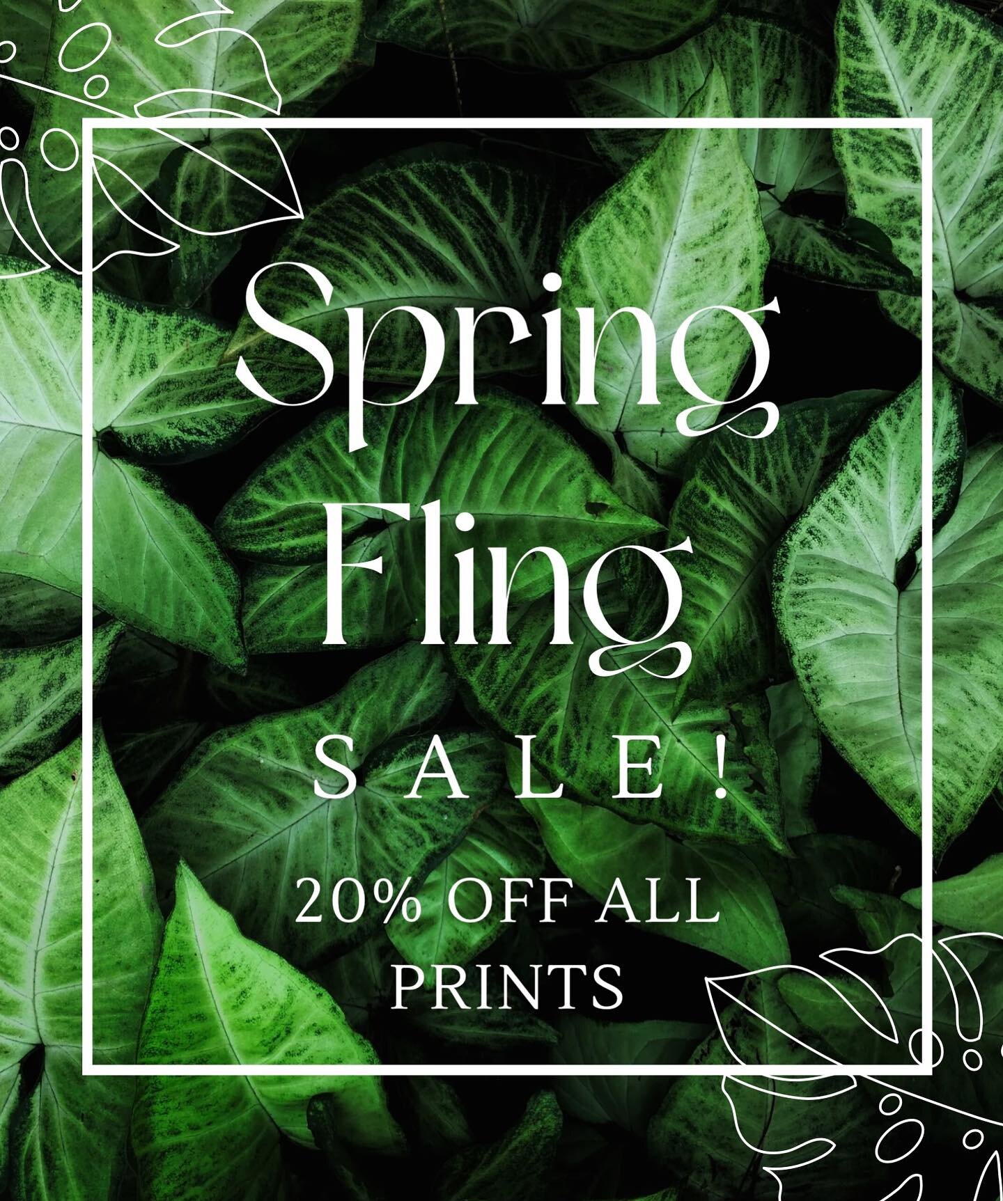 My Spring Fling Sale is happening now! 🌱 All limited edition prints are 20% off 🙌 

Visit kimmcdonald.com and use code SPRINGFLING at checkout ✨