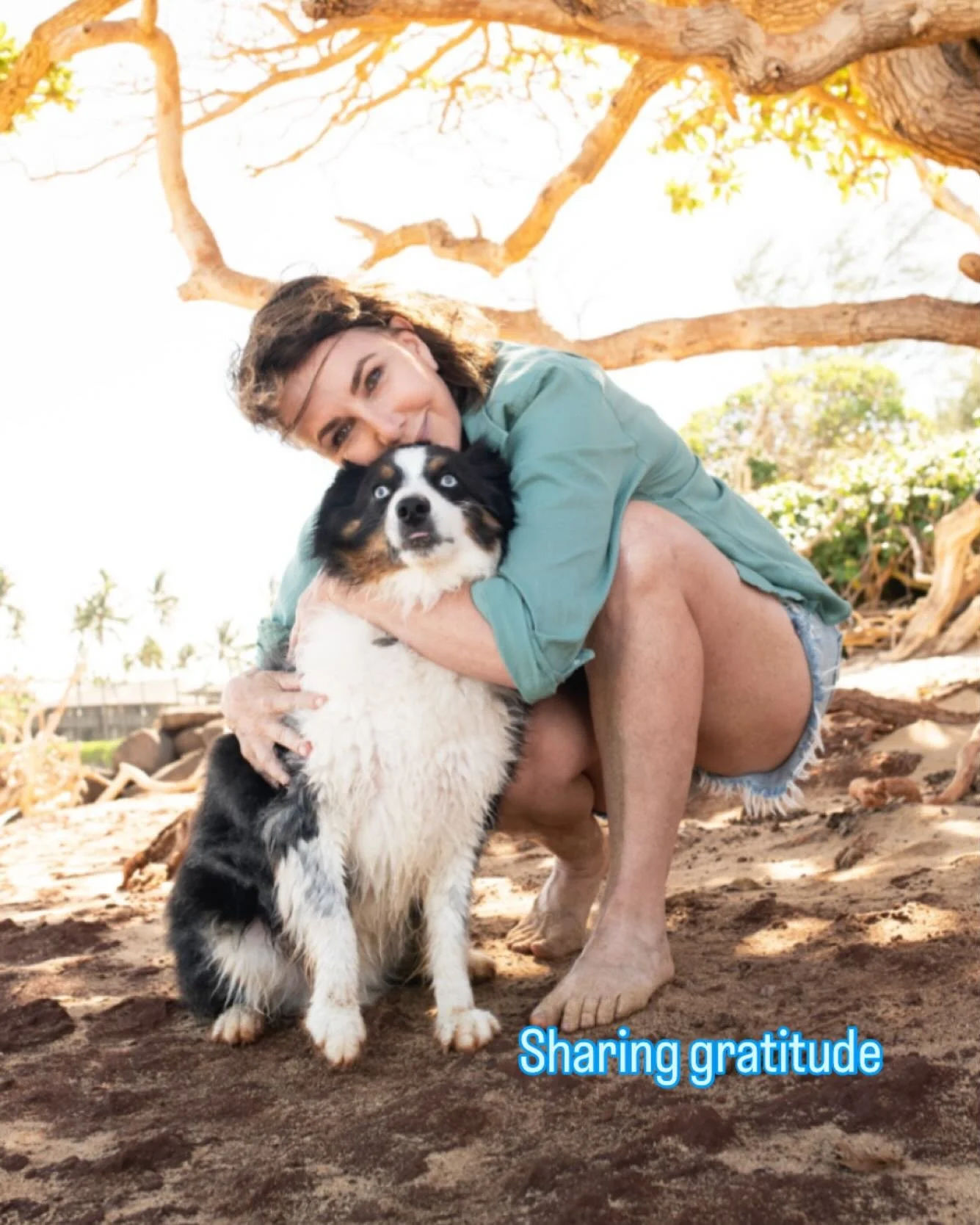 A very big and happy Thanksgiving to everyone! ❤️🌸

It&rsquo;s been a challenging year for many of us, and I&rsquo;m choosing to step into this holiday season as a fresh start&mdash;a chance to create more harmony, better balance, and a little more 