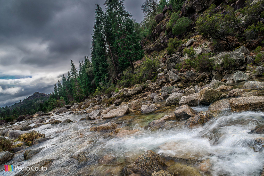 20150225-DSC_0099-3-Edit.jpg