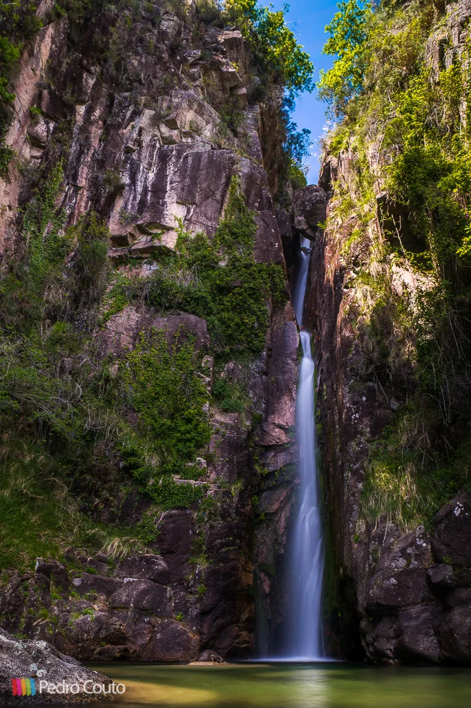 20150525-DSC_5318-3-Edit.jpg