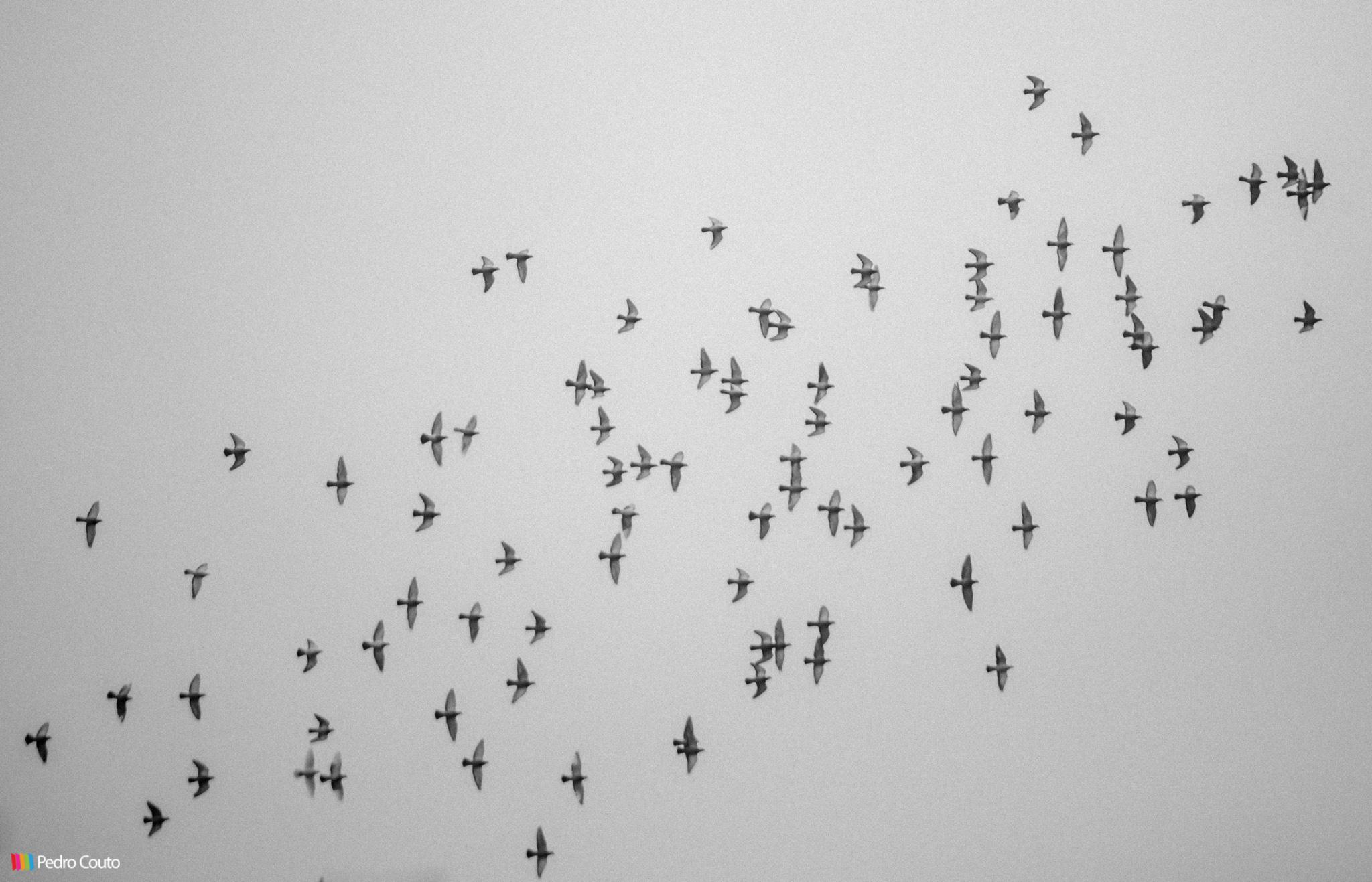 20140116 DSC_0015_baixa.jpg