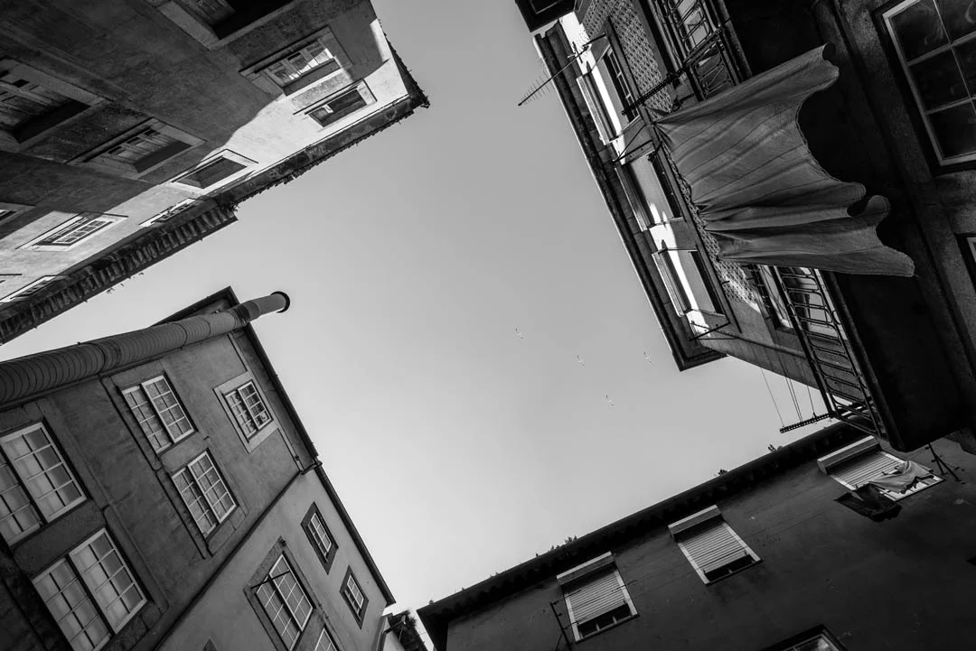 20170119 DSC_7460-5.jpg