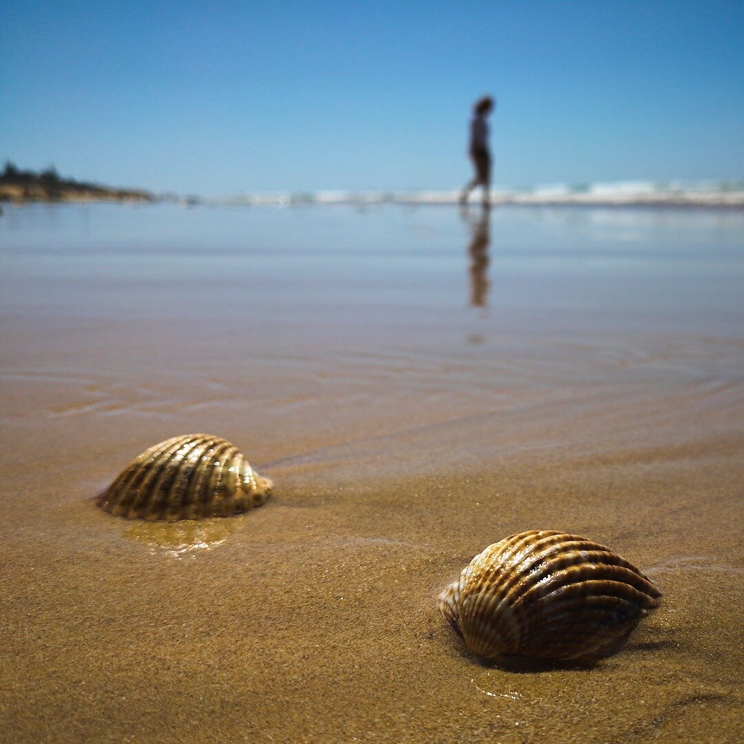 Recortes de umas mini-f&eacute;rias. Pequenos detalhes, &agrave;s vezes no meio de paisagens grandes. A espuma das ondas puxada pelo vento, os longos passadi&ccedil;os pelas dunas, a ondula&ccedil;&atilde;o suave do mar, a textura das nuvens ao p&oci