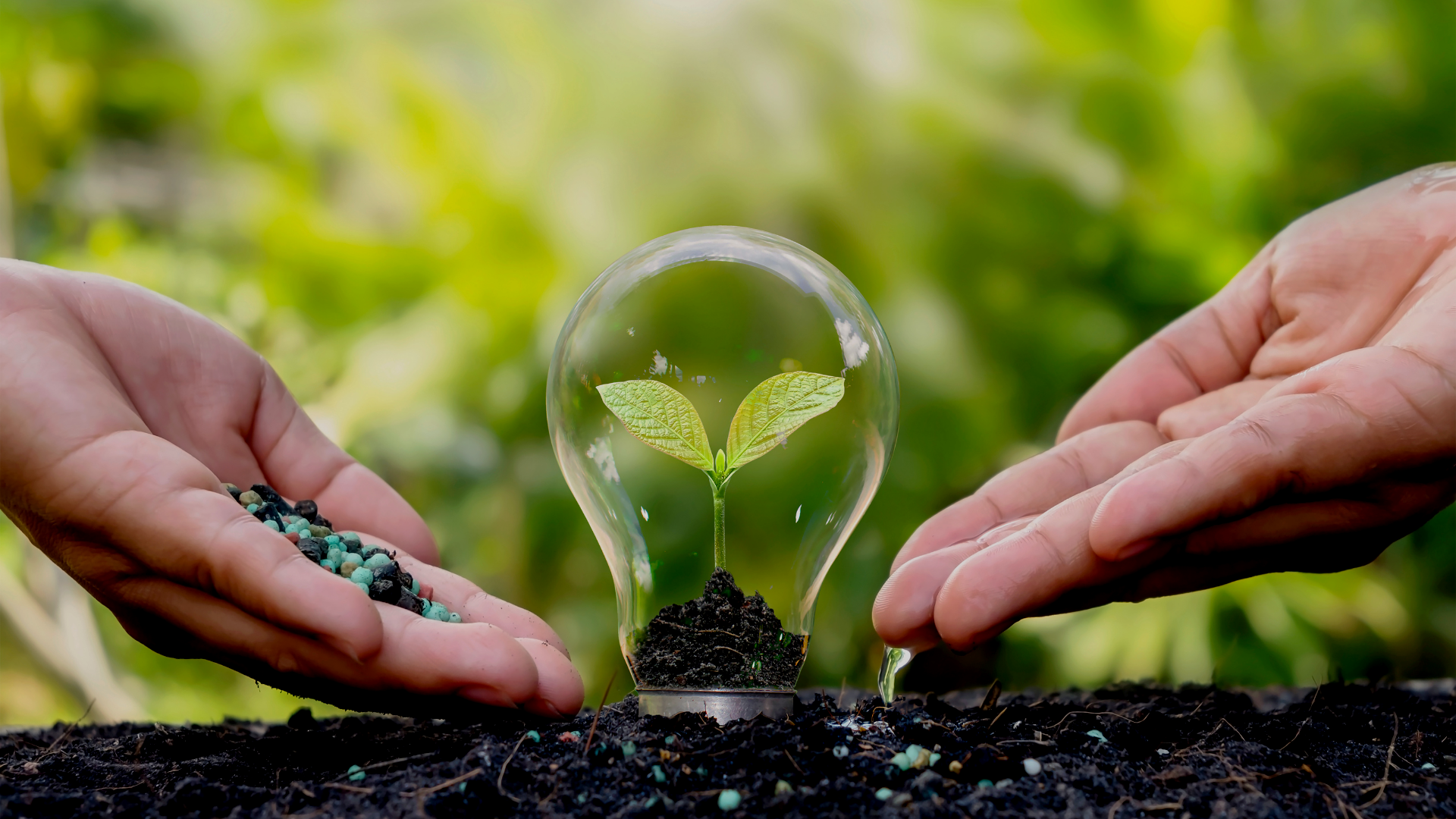 Meet the 2025 Training Innovation Fund (TIF) awardees!