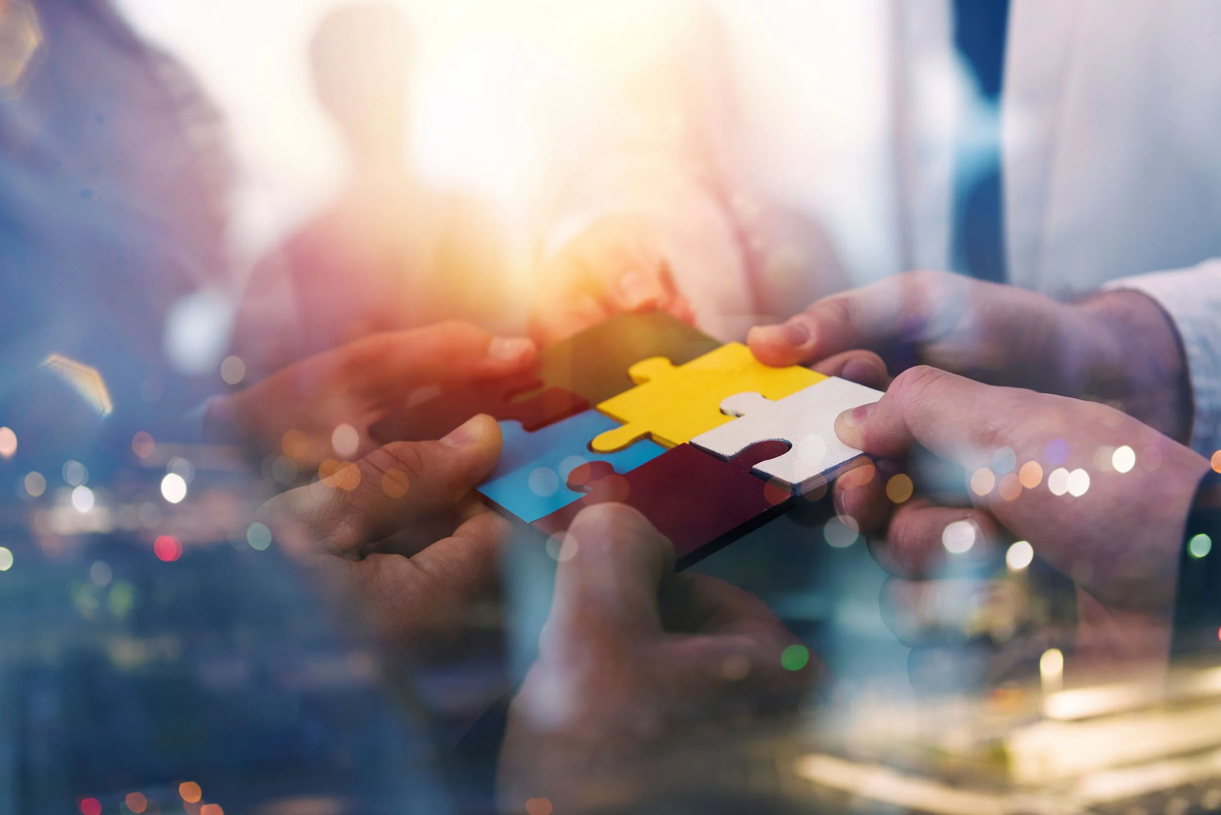 Announcing the 2022 Training Innovation Fund winners!
